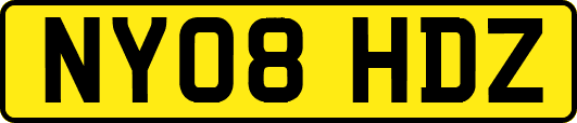 NY08HDZ