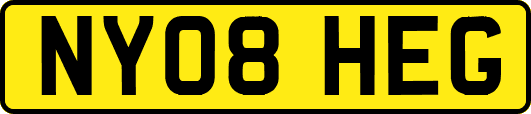 NY08HEG