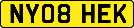 NY08HEK