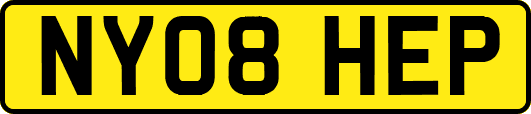 NY08HEP