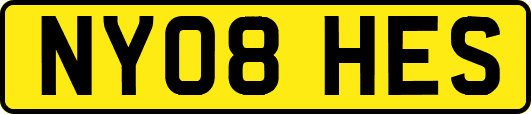 NY08HES
