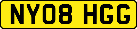 NY08HGG