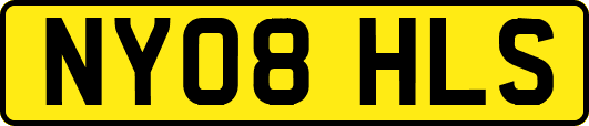NY08HLS