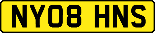 NY08HNS
