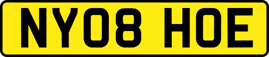 NY08HOE