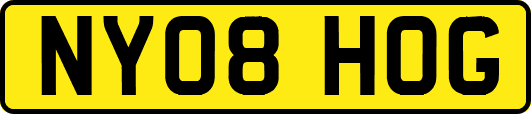 NY08HOG