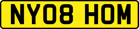 NY08HOM