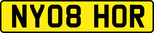 NY08HOR