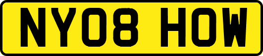 NY08HOW