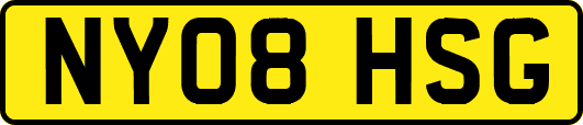 NY08HSG