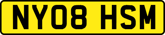 NY08HSM