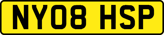 NY08HSP