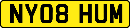 NY08HUM