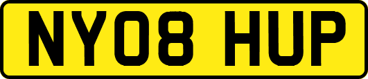 NY08HUP
