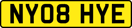 NY08HYE