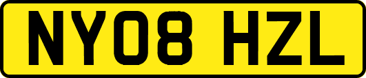 NY08HZL