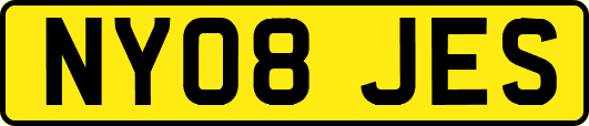 NY08JES