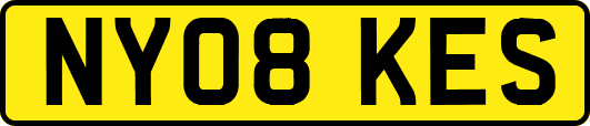NY08KES