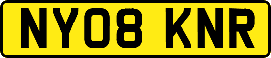 NY08KNR