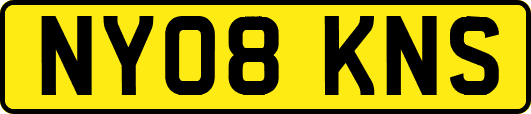 NY08KNS