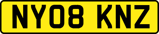 NY08KNZ