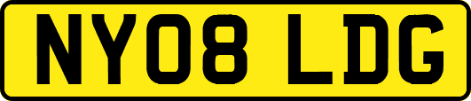 NY08LDG