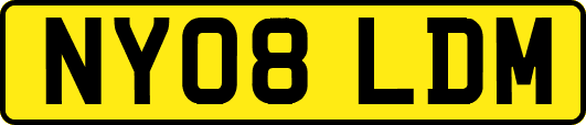NY08LDM
