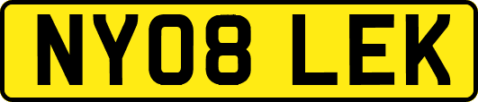 NY08LEK