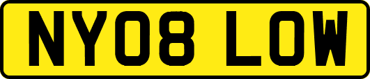 NY08LOW