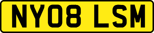NY08LSM