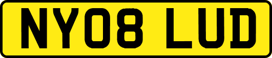 NY08LUD