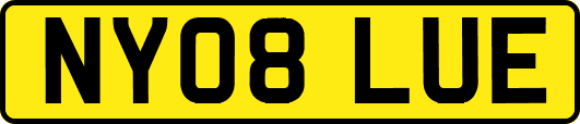 NY08LUE