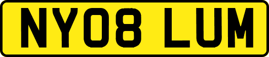 NY08LUM