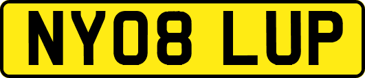 NY08LUP