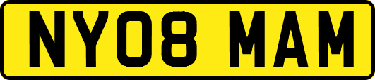 NY08MAM