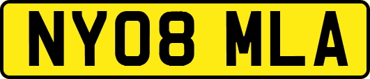 NY08MLA