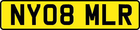 NY08MLR