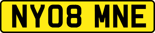 NY08MNE