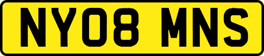 NY08MNS