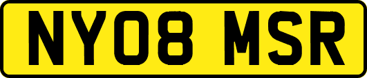 NY08MSR