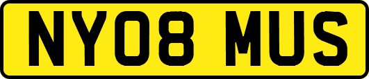 NY08MUS