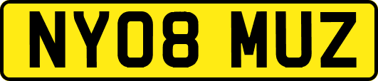 NY08MUZ