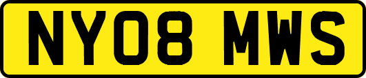 NY08MWS