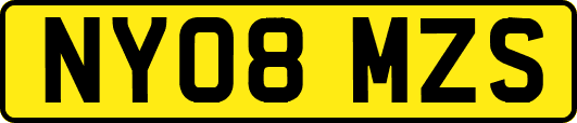 NY08MZS