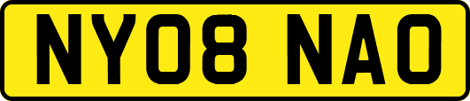 NY08NAO