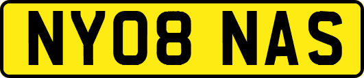 NY08NAS