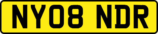 NY08NDR