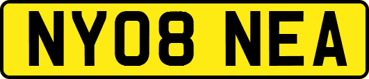 NY08NEA