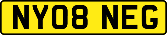 NY08NEG