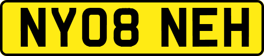 NY08NEH